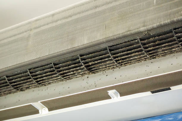 Best Air Duct Cleaning Near Me  in Wenonah, NJ